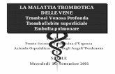 LA MALATTIA TROMBOTICA DELLE VENE Trombosi Venosa … fileTrombosi Venosa Profonda Tromboflebite superficiale Embolia polmonare P.F. Tropeano ... (condizioni di insufficienza della