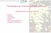 Tecnologie di trasformazione dell’uva · inattivano) e sono dotati di un’elevata specificità, cioè ogni enzima catalizza una ... com p ost i a r om a t ici C 15 or m on i C