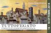 Arezzo, Hotel Minerva 16 – 18 OTTOBRE 2014 - siemc.it · Ore 11.30 Casi clinici Marcello Caremani Ore 13.00 Verifica del questionario ECM e chiusura del Corso . ... sia mediante