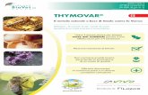 Il metodo naturale a base di timolo contro la Varroa · Prima di usare Thymovar®, rimuovere tutto il melario, chiudere e ripristinare tutte le pareti aperte o a maglia dell’arnia