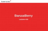 BanzaiBerry Lezione #10 Intelligenza Artificiale simbolica 24 Visione top down: Dai ragionamenti al comportamento, dalla logica all'azione. Simulare il comportamento umano partendo