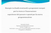 Sinergietrafondistrutturalie programmieuropei per la ... · programmazione Michelle Perello Espertain progettazioneeuropea Torino, 21 luglio2011 Seminario «2014-2020: La nuovaprogrammazioneeuropea.