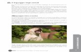 1 Il linguaggio degli animaliauladigitale.rizzolieducation.it/.../2linguaggio_animale.pdf · Per comunicare tutte le razze animali si servono di un linguaggio (gesti, movimenti, ...