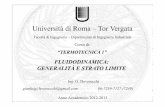 Università di Roma – Tor Vergatadidattica.uniroma2.it/assets/uploads/corsi/144485/01_-_TT1... · Tipi di moto; 5. Viscosità; 6. ... 1. si può avere lo scorrimento di uno strato