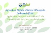 Agricoltura Digitale e Sistemi di Supporto Decisionale (DSS) Colture/Pomodoro/BLULEAF_DSS... · principali areali produttivi del pomodoro da industria in Puglia, Basilicata e Campania