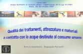 Enrico Veschetti, Emanuele Ferrettiold.iss.it/binary/aqua/cont/Veschetti_Ferretti 2007.1193842912.pdf · Organici: lista positiva Metalli: lista composizione Cementizi: lista approvata