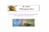 Da Il libro delle piante magiche di Caterina Kolosimoorig14.deviantart.net/9d16/f/2014/265/d/2/erbe_magiche...d8075il.pdf · Da "Il libro delle piante magiche" di Caterina Kolosimo