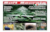 Arte psichedelica! pressare dai Rock Posters versodai Rock ... · questa pianta di marijuana, eppure è famigerata per la sua potenza ... profilo ad ala di gabbiano, il suo funzionamento