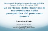 Reggio Emilia, 1 Dicembre 2017 La certezza della diagnosi ... · chirurgia toracica Residenza in alcune regioni . Raccomandazioni per la diagnosi cito e isto-patologica 15 Diagnosi