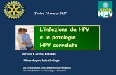 e le patologie HPV correlate L’infezione da HPV 13 marzo... · Impatto delle patologie da HPV: su donne e uomini – dati italiani Maschi Femmine 129 Cancro del Pene1 585 Cancro