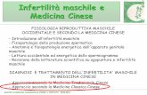 Infertilità maschile e Medicina Cinesegiovannafranconi.weebly.com/.../5_master_infert_maschile_mcc.pdf · che riempie il vuoto all’interno delle ossa, esso crea il cervello, ...