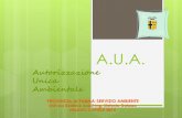 Autorizzazione Unica Ambientale - Uniariauniaria.it/portale/wp-content/uploads/2014/04/Autorizzazione-PRO... · Conferenza di servizi Non sempre AUA sostituisce almeno un titolo abilitativo