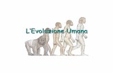 L’Evoluzione Umana - RAI CULTURA · L’Homo erectus scoprì il fuoco e il modo di conservarlo, questo gli permise di proteggersi dal freddo e dagli animali e di cucinare la carne,