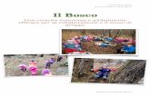 Il Bosco - Scuola Tavernescuoletaverne.ch/wp-content/uploads/2015/10/gessicac/il-valore-del... · fare con bambini in età 3- 5 anni? 3. Come conciliare la rigorosità che le scienze