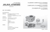 CILINDRO COMPLETO 4-STROKE Istruzioni di Montaggio ...storage.malossistore.com/files/montaggio/7311576.pdf · VESPA ET4 LX LX 4V euro 2 Primavera 4V euro 2 (C532M) S 4V euro 2 (C386M)