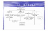 Corso ISG Lezione Marcia - FIDAL Puglia IST 2008 dispensa Caravella.pdf · supercompensazione dell’organismo e, in relazione ad un obiettivo competitivo garantirne lo stato di forma,