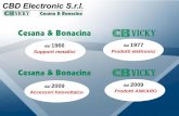 dal 1966 1977 Prodotti elettronici - ISTRUZIONE TECNICA e ... · Amplificazione regolabile . con attenuatori elettronici - Alimentazione tramite . cavo . o . presa cc (WB5) - ...