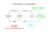 11 Strategie clonaggio - Moodle@Units · esempio anemia di Fanconi - instabilità cromosomica 2n 2n 2n 4n 4n Mutato gene A Fusione cellulare ... Set di microsatelliti (circa 400)