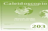 ISSN 0394 3291 Caleidoscopio - medicalsystems.it · 3 Tabella di correlazione con le Norme ISO 9001:2000 2 Riferimenti normativi e legislativi 1 Generalit ...