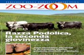 Razza Podolica, la seconda giovinezza - dellaventino.comdellaventino.com/download/zoo-zoom/zoo-zoom12.pdf · ri che diventeranno di uso quotidiano e per la selezione dell’italianità