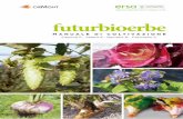 futurbioerbe · manuale di coltivazione. ... conosciute dal punto di vista culinario ma con una tecnica di coltivazione, ove presente, poco evoluta. Le specie prese in esame sono
