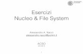 Esercizi Nucleo & File System - Alessandro Antonio Nacci · " il numero totale di interruzioni di fine DMA che si verificano affinché l'operazione si completi " e la sequenza di