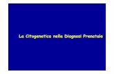 La Citogenetica nella Diagnosi Prenatale - Ufficio ...europa.uniroma3.it/biologia/documenti/edc1f312-5d66-478a-9a5d-38... · • Individuazione di riarrangiamenti criptici (microdelezioni