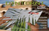 DINTORNI - soelia.it 10 luglio 2011.pdf · direttamente da SOELIA diversi interventi di conservazione e valorizzazione, secondo un programma annualmente deliberato dalla Giunta Comunale;