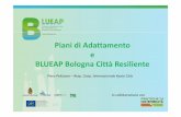 Piani di Adattamento e BLUEAP Bologna Città Resiliente · 2014-02-13 · rappresentano strumenti necessari per rispondere alle attese di una pianificazione sostenibile, ... Scira