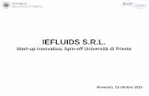 IEFLUIDS S.R.L. - cinfai.it · COSMO, Cfd Open Source per Opera Morta, progetto di ricerca sull’interazione del vento con l’opera morta navale, in termini di ricaduta dei fumi