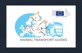 Il benessere animale in Italia: focus sulanimaltransportguides.eu/wp-content/uploads/2017/03/ROTA-NODARI.pdf · Il benessere animale in Italia: focus sul trasporto e sul sistema di