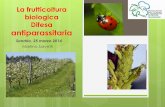 La frutticoltura biologica Difesa antiparassitaria · Aspetti importanti per la progettazione del frutteto bio ... della pianta come Propoli di api ed estratti di alghe, bicarbonato