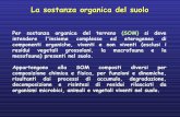 La sostanza organica del suolo - Università degli Studi … · 2012-05-01 · con il nome di sostanze umiche ... Analisi di caratterizzazione chimica e strutturale di frazioni organiche