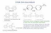 Cl bifenile y PCB - nano(bio)lab webpagenanobionano.unibo.it/ChOrgInquinanti/media/PCB.pdf · 2012-04-18 · Il destino di una sostanza chimica nell’ambiente. resta confinata nella