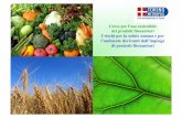 Corso per l’uso sostenibile dei prodotti fitosanitari I rischi per la … · 2015-12-24 · rappresenta la quantità massima di una sostanza attiva e/o dei suoi ... •processi