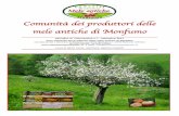 Comunità dei produttori delle mele antiche di Monfumomeleantichemonfumo.it/wp-content/uploads/2013/09/giornalino-2013.pdf · dall’area bellunese verso la metà del 1800. Si tratta