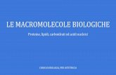 LE MACROMOLECOLE BIOLOGICHE - compgen.bio.unipd.itcompgen.bio.unipd.it/~ale/le_macromolecole_biologiche.pdf · segnali intracellulari MACROMOLECOLE: GLI ACIDI NUCLEICI. MACROMOLECOLE: