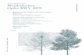 Musikalisches Opfer BWV - musicidisantapelagia.com · contrappunto e la fuga sono gli aspetti caratterizzanti e salienti del discorso sonoro e culminando con una per tra le più elaborate