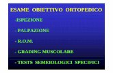 ISPEZIONE PALPAZIONE R.O.M. GRADING MUSCOLARE …fisiokinesiterapia-news.it/download/biom2.pdf · esame obiettivo ortopedico-ispezione-palpazione-r.o.m.-grading muscolare-tests semeiologici