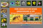 Interventi pubblici a supporto dell’apicoltura · vespa asiatica (Vespa velutina), il ... territorio sono n. 3.748 che conducono 58.425 alveari ... assistenza tecnica e di intermediazione