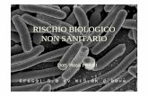 RISCHIO BIOLOGICO NON SANITARIO - siparsrl.net · microbiologia o dell’industria alimentare) oppure rappresentano un effetto indesiderato ... epidemiologici certi, spesso si conosce