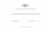 L'annullamento giurisdizionale nell'evoluzione del ... · PDF file1 M. Clarich, La giustizia, in S. Cassese (a cura di), Trattato di diritto amministrativo, Milano, Giuffrè, 2003,