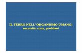 IL FERRO NELL’ORGANISMO UMANO: necessità, stato, Ferro.pdf · PDF fileb. componente strutturale/funzionale dell’emoglobina (globulo rosso) e mioglobina (muscolo) • trasportatore