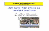 HCV:Il virus, i fattori di rischio e le modalit di ... · “epocali ” nella presentazione di HCV. HCV: genotipi Influenza su clinica? 1a-1b Minore risposta alle terapia Malattie