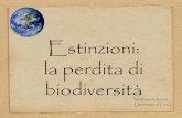 ferdinando boero Università di Lecce - istitutoveneto.org · Specie è stimato in 10. Milioni. Il tasso basale. di estinzione nel . record fossile è di una . estinzione per milione.