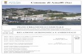 Comune di Amalfi (Sa) · ... nella parte centrale della Costiera Amalfitana. ... SPIAGGE Spiagge 1,81 . ... tutta la costiera amalfitana. Le produzioni, ...