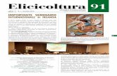 Elicicoltura91 - Parco Coclè · le lumache vive di allevamento sono ormai presenti in tutti i mercatini dell’agricoltura, degli alimenti naturali e dei ... Ogni anno nascono in