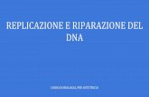 REPLICAZIONE E RIPARAZIONE DEL DNA - compgen.bio.unipd.itcompgen.bio.unipd.it/~ale/replicazione_e_riparazione_del_dna.pdfL'esperimento di Frederick Griffith del 1928 fu uno dei primi