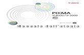 Manuale dell'utente iP4000&iP3000 - Canon Italiadownload.canon.it/manuali_operatore/files/PIXMA_iP3000ITA.pdf · Uso del manuale Precauzioni per la ... (Desktop): 800 x 600 pixel