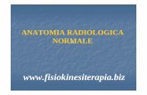 ANATOMIA RADIOLOGICA - Fisiokinesiterapia · SUTURE CRANICHE •Sutura Coronale •Fronto-sfenoidale •Fronto-etmoidale •Sfeno-parietale •Temporo-sfenoidale •Parieto-temporale